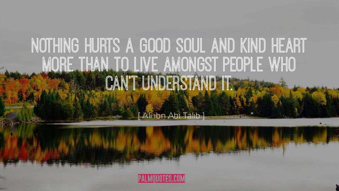 Ali Ibn Abi Talib Quotes: Nothing hurts a good soul