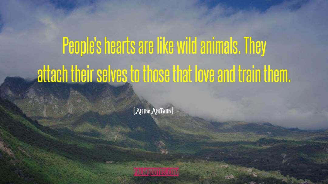 Ali Ibn Abi Talib Quotes: People's hearts are like wild