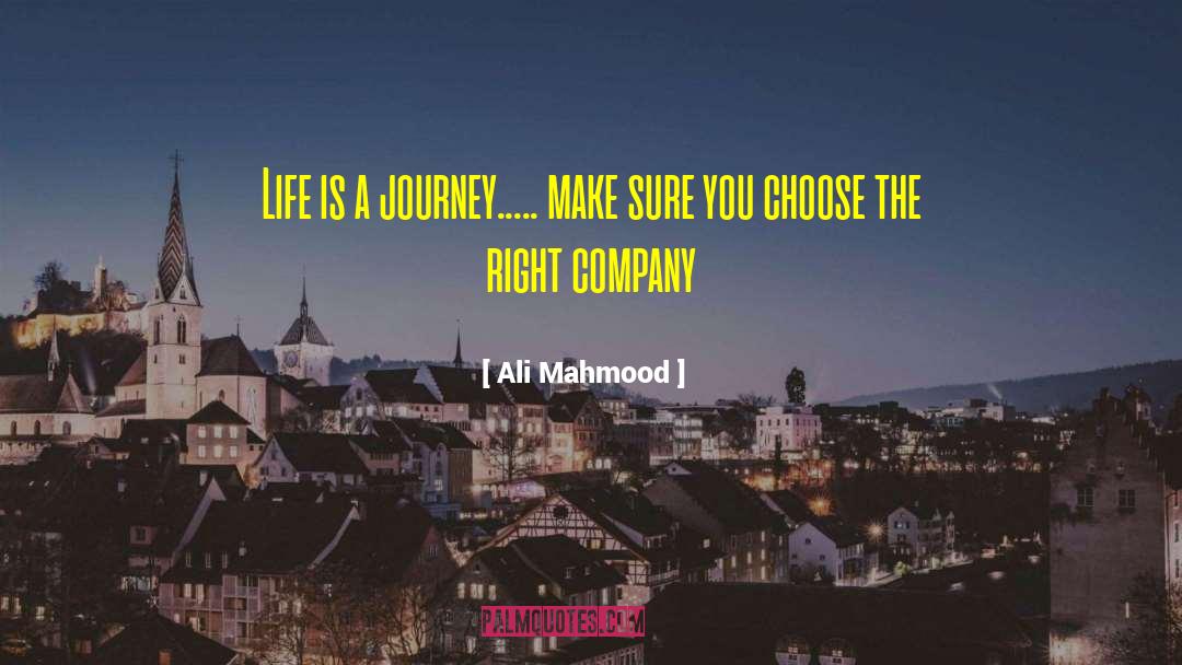 Ali Mahmood Quotes: Life is a journey..... make