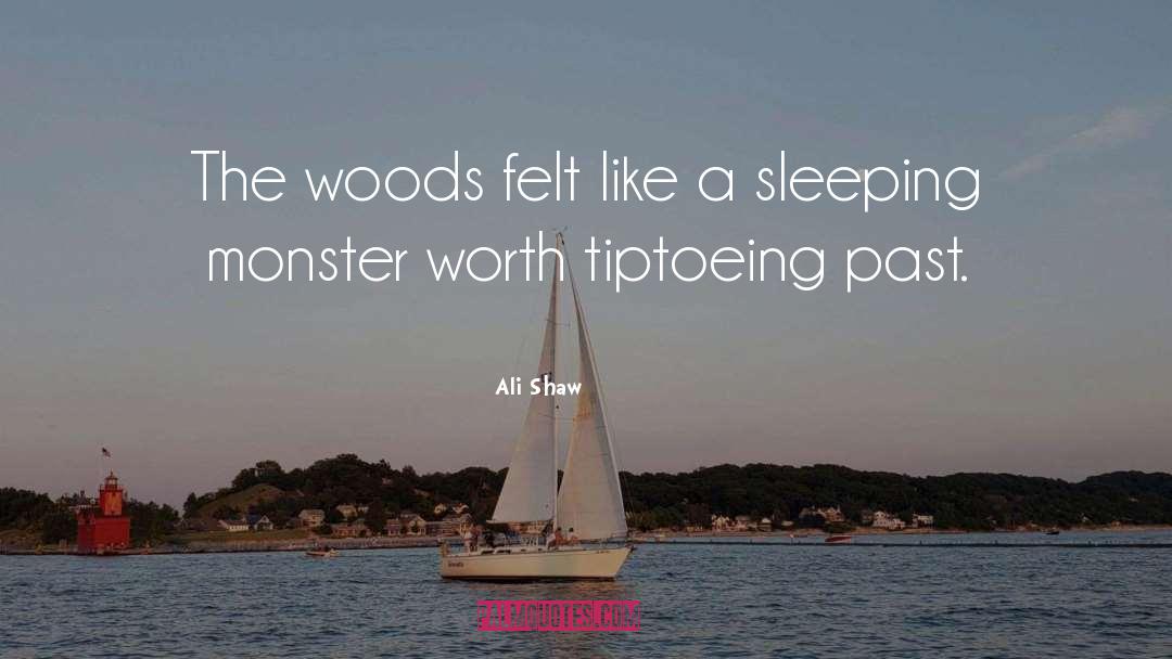 Ali Shaw Quotes: The woods felt like a