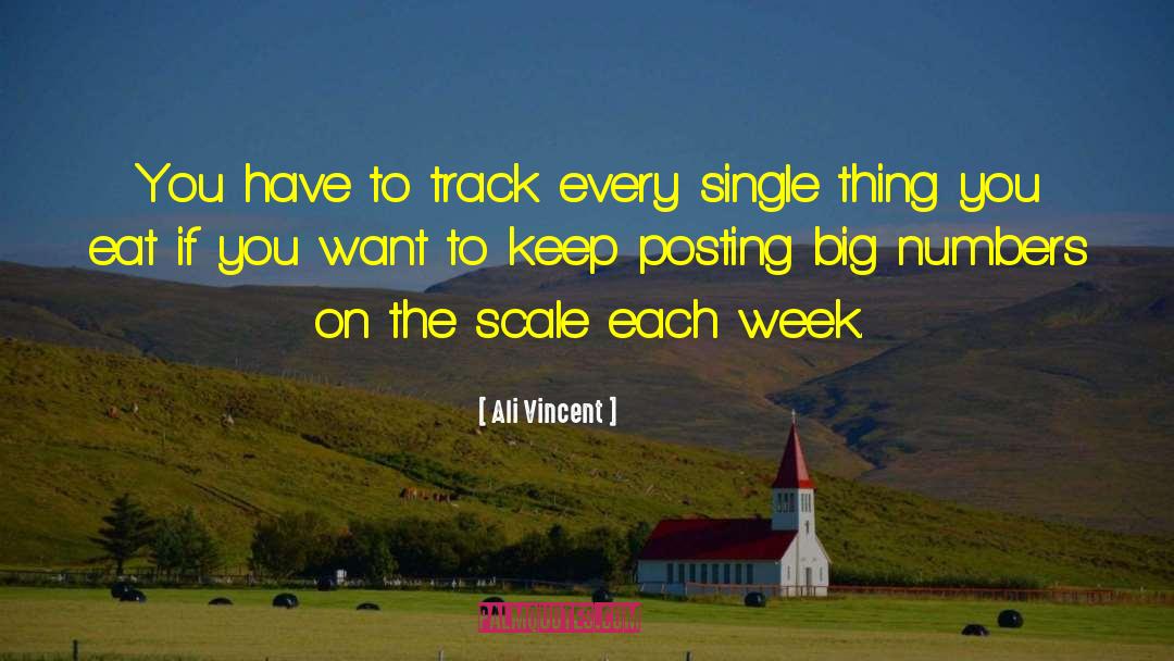 Ali Vincent Quotes: You have to track every