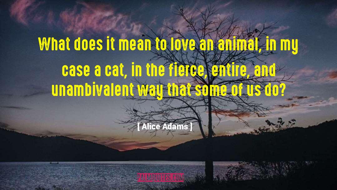 Alice Adams Quotes: What does it mean to