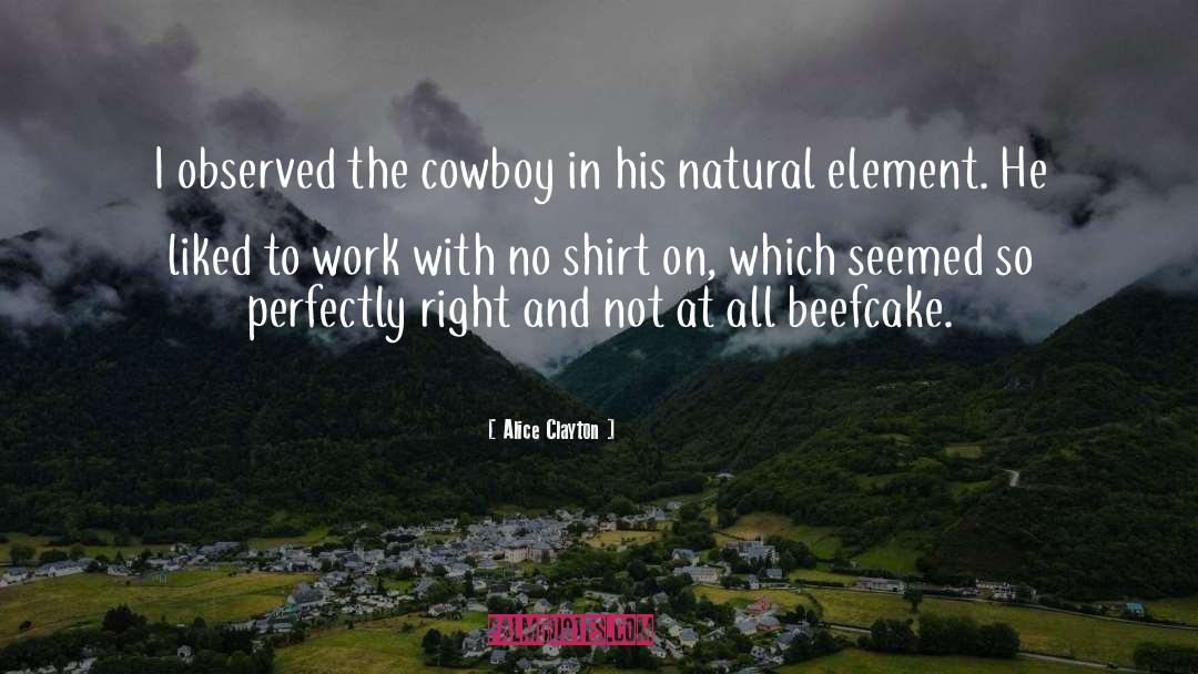 Alice Clayton Quotes: I observed the cowboy in