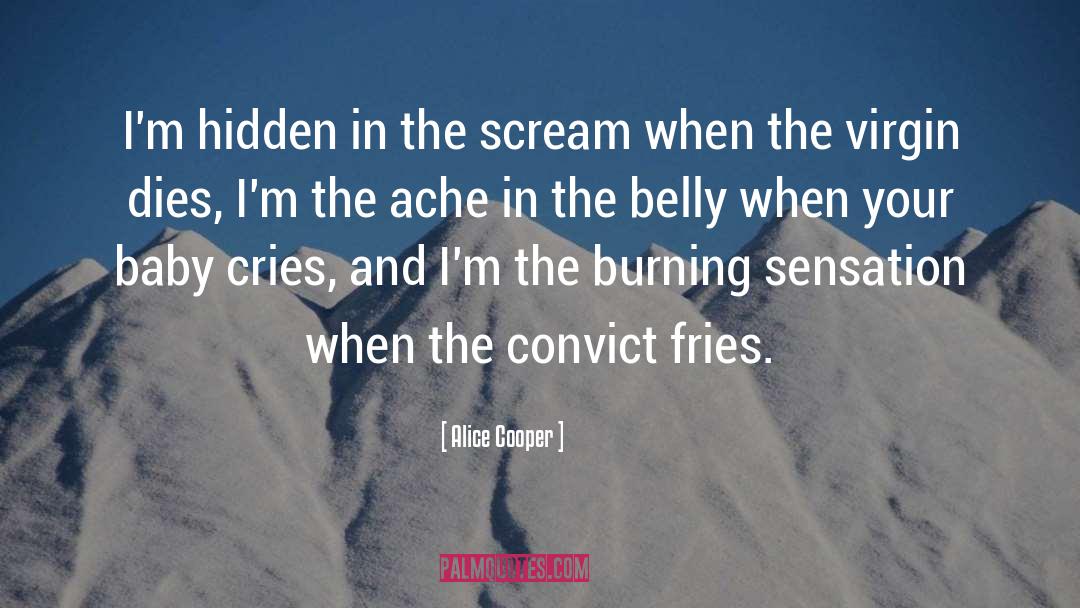 Alice Cooper Quotes: I'm hidden in the scream