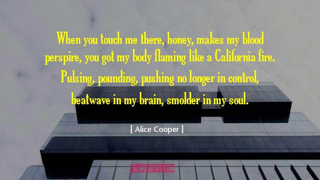 Alice Cooper Quotes: When you touch me there,