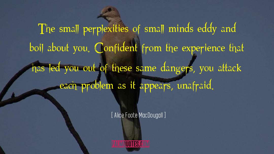 Alice Foote MacDougall Quotes: The small perplexities of small