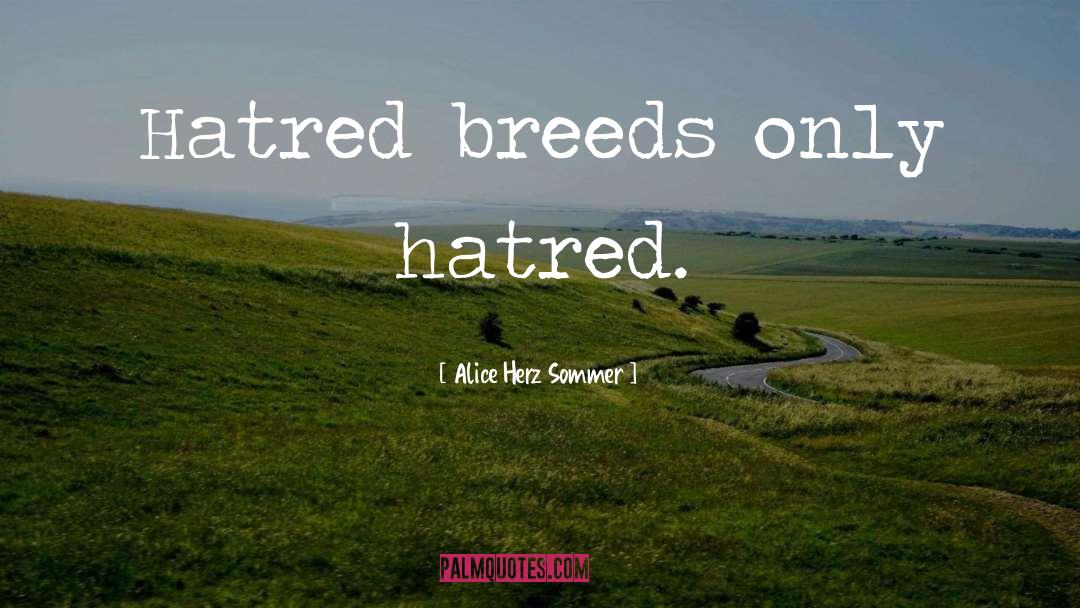 Alice Herz-Sommer Quotes: Hatred breeds only hatred.