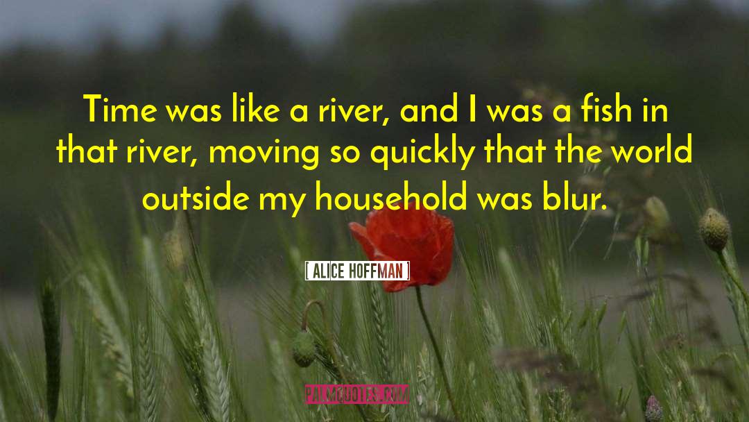 Alice Hoffman Quotes: Time was like a river,