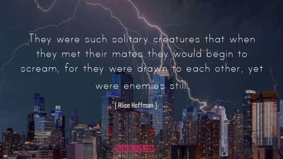 Alice Hoffman Quotes: They were such solitary creatures