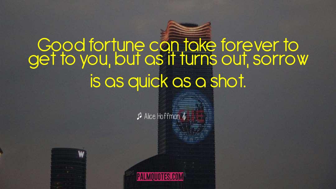 Alice Hoffman Quotes: Good fortune can take forever