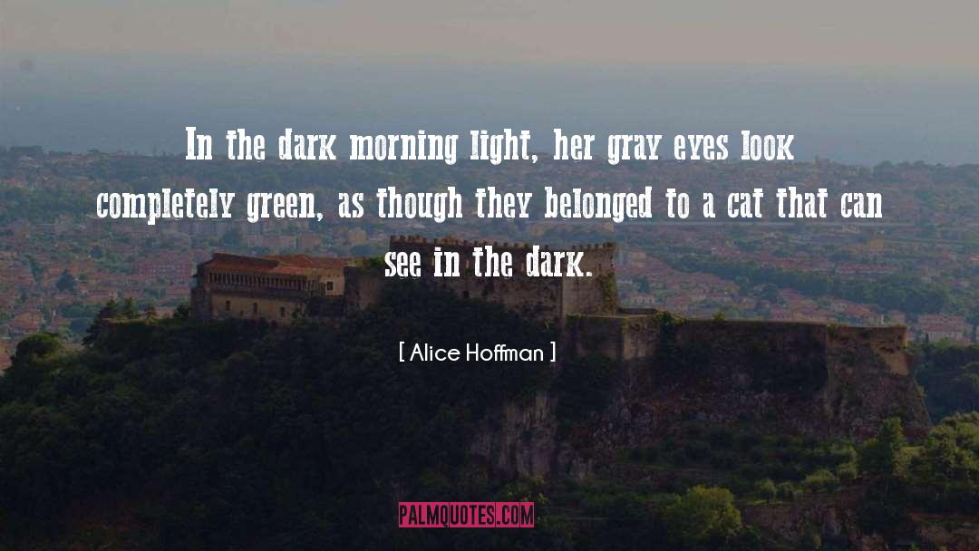 Alice Hoffman Quotes: In the dark morning light,