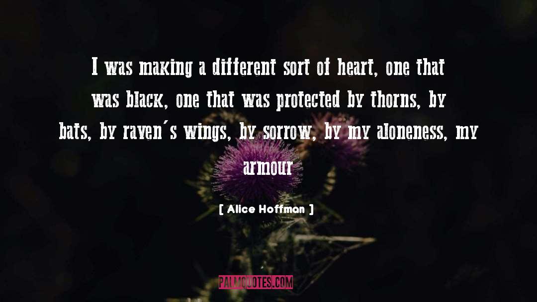 Alice Hoffman Quotes: I was making a different