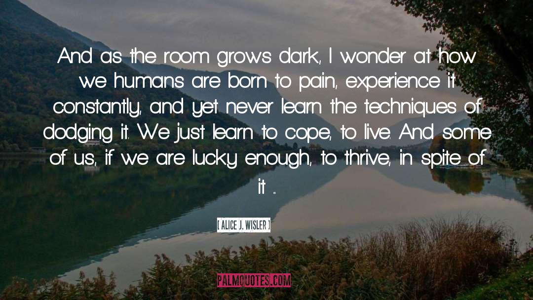 Alice J. Wisler Quotes: And as the room grows