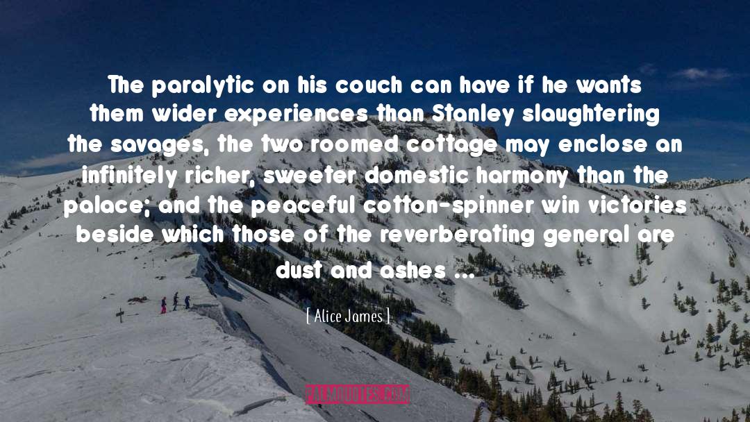 Alice James Quotes: The paralytic on his couch