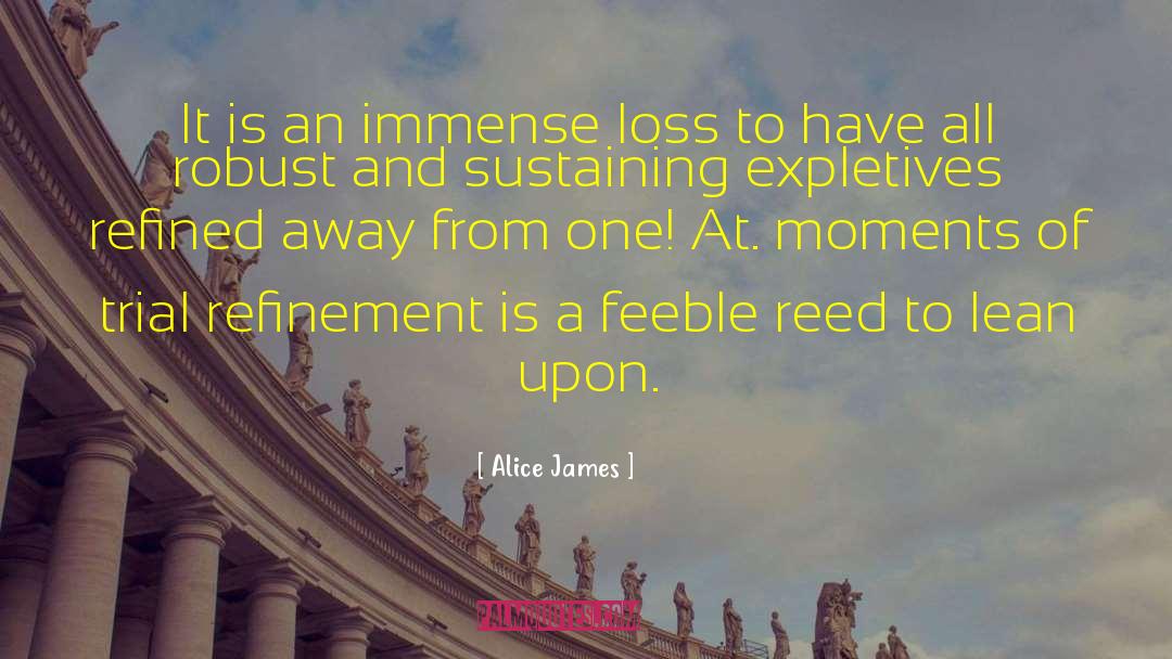 Alice James Quotes: It is an immense loss