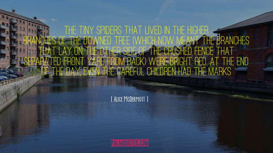 Alice McDermott Quotes: THE TINY SPIDERS that lived