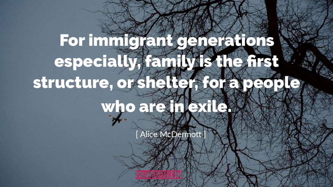 Alice McDermott Quotes: For immigrant generations especially, family