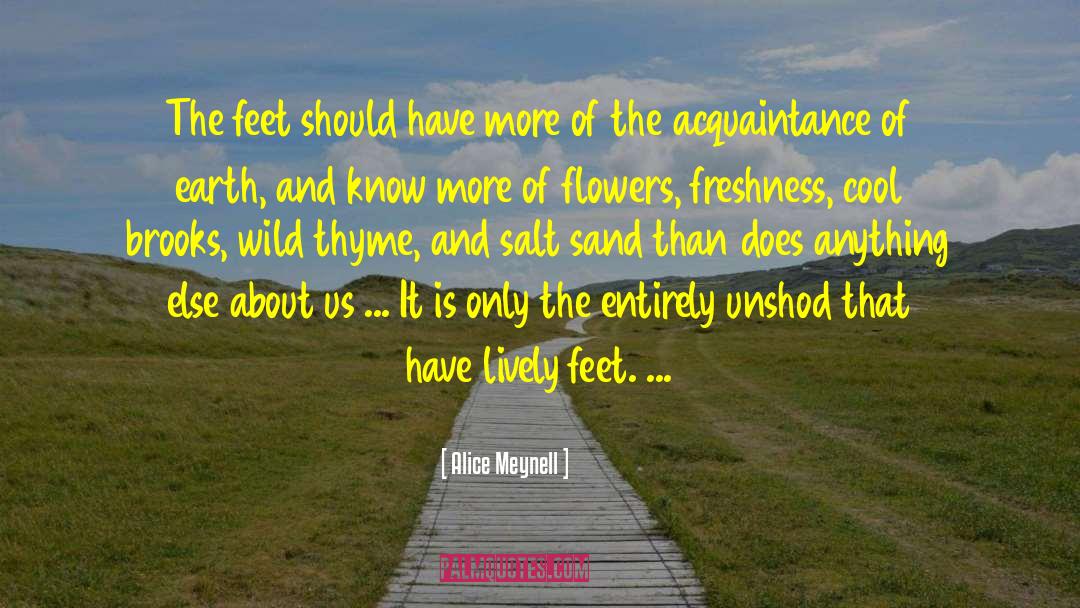 Alice Meynell Quotes: The feet should have more