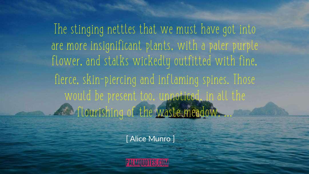 Alice Munro Quotes: The stinging nettles that we