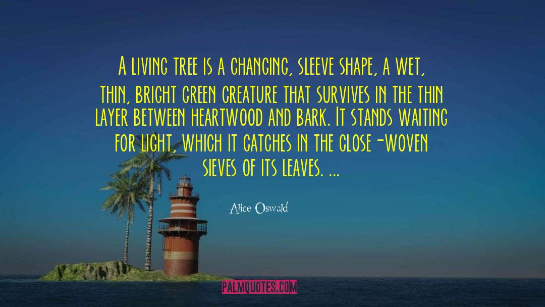 Alice Oswald Quotes: A living tree is a