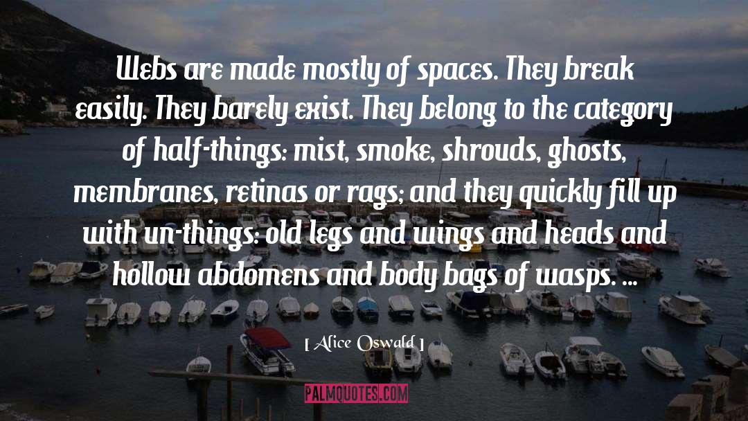 Alice Oswald Quotes: Webs are made mostly of