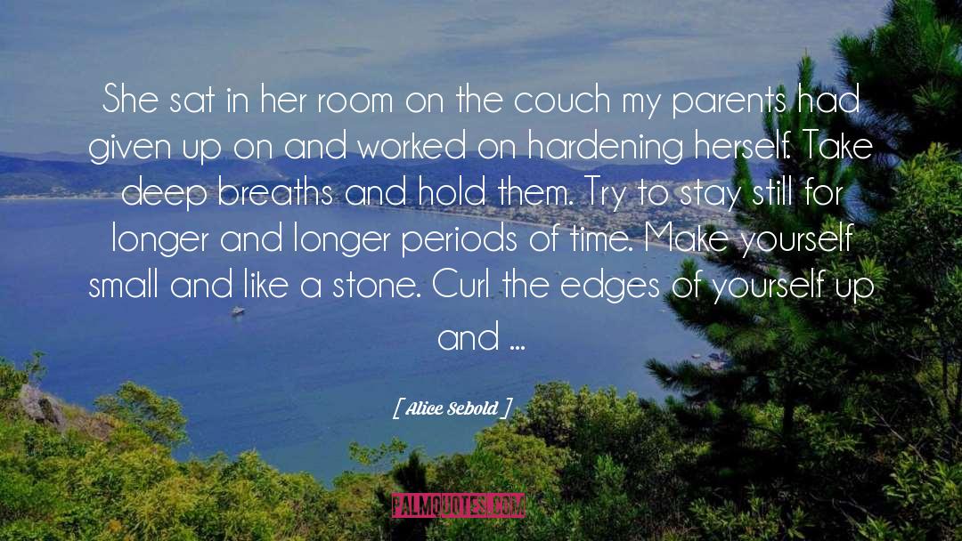 Alice Sebold Quotes: She sat in her room