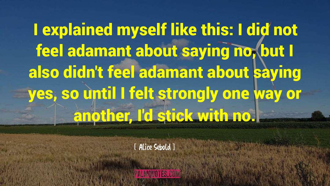 Alice Sebold Quotes: I explained myself like this: