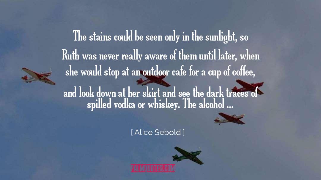 Alice Sebold Quotes: The stains could be seen