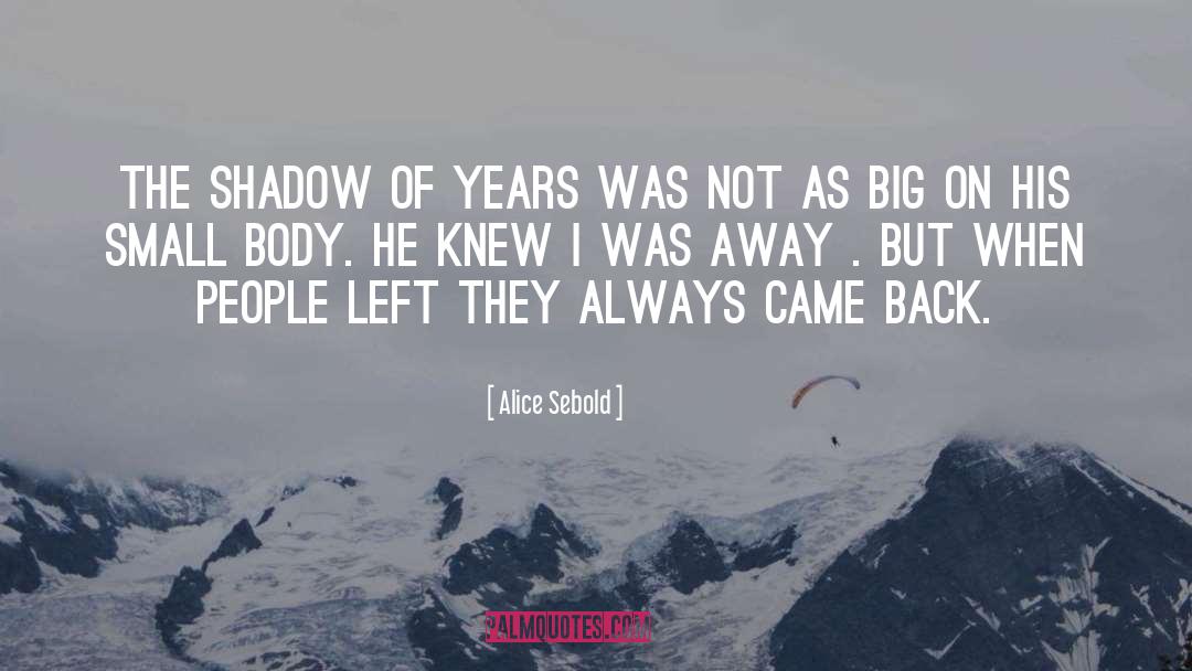 Alice Sebold Quotes: The shadow of years was