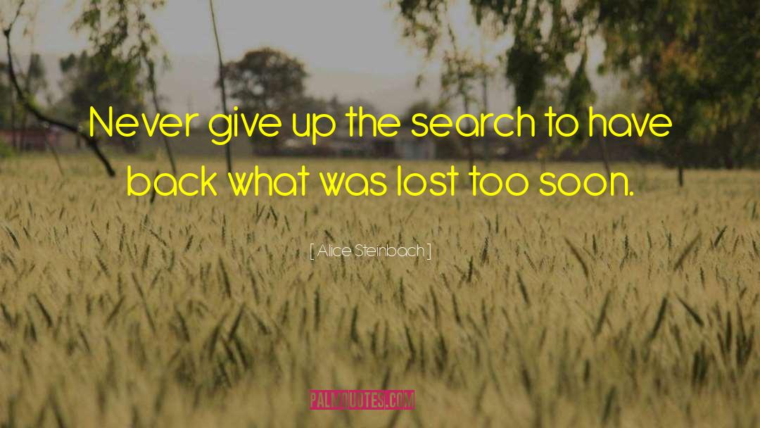 Alice Steinbach Quotes: Never give up the search