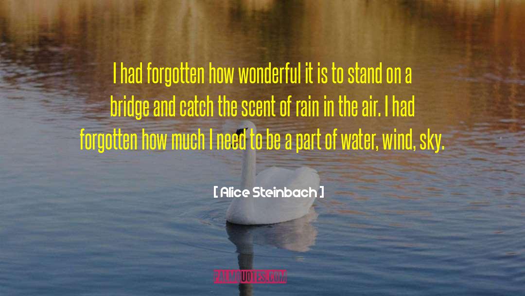 Alice Steinbach Quotes: I had forgotten how wonderful