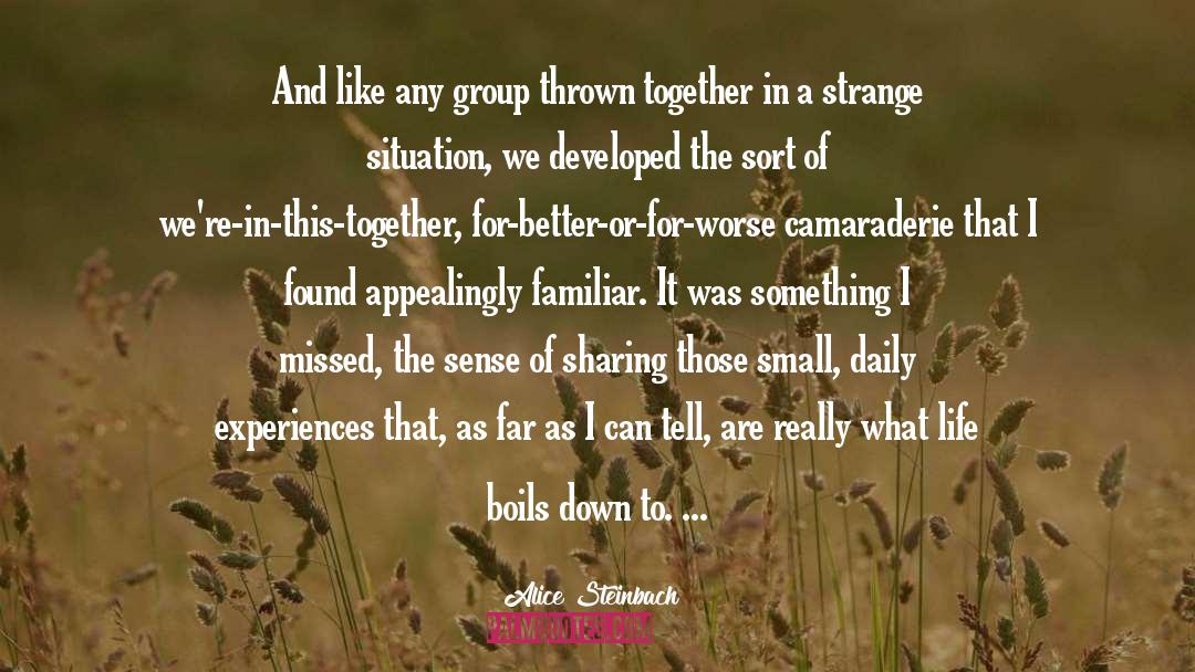 Alice Steinbach Quotes: And like any group thrown