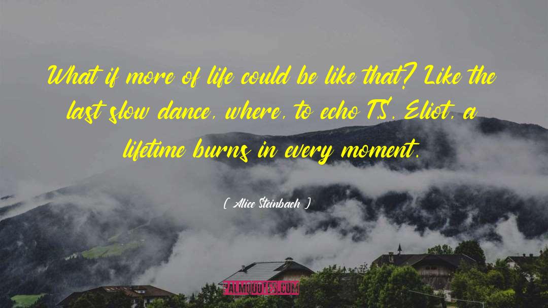 Alice Steinbach Quotes: What if more of life