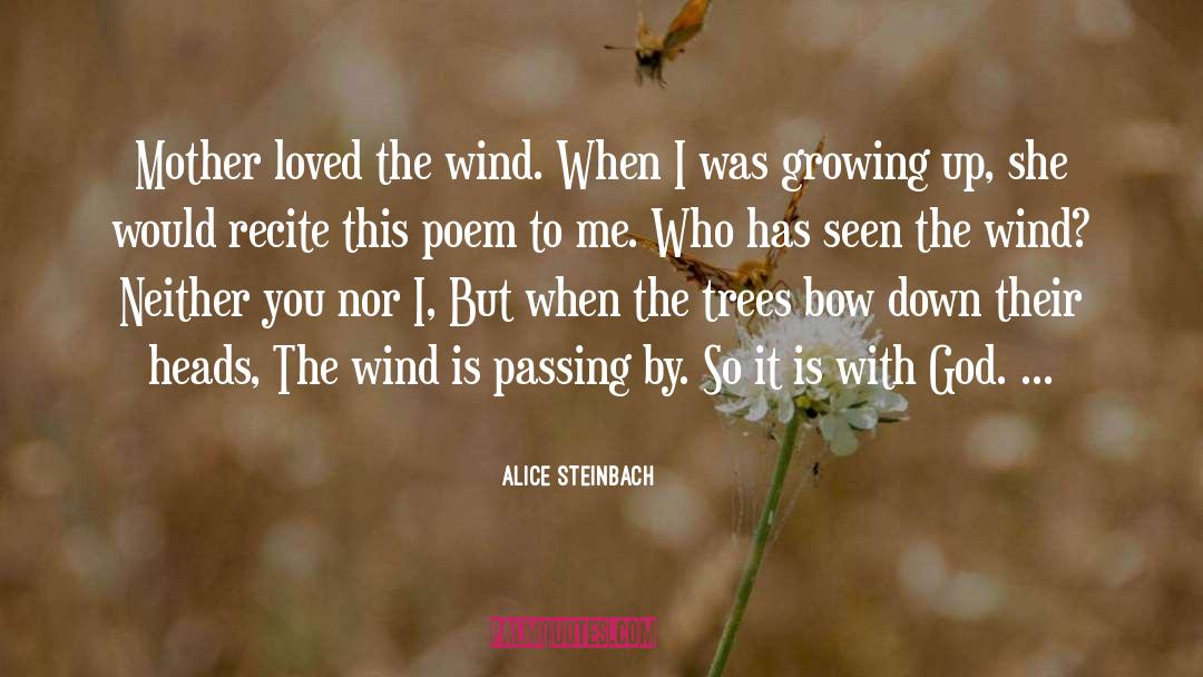 Alice Steinbach Quotes: Mother loved the wind. When