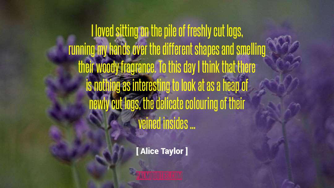 Alice Taylor Quotes: I loved sitting on the