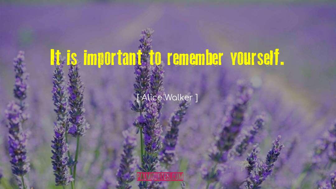 Alice Walker Quotes: It is important to remember