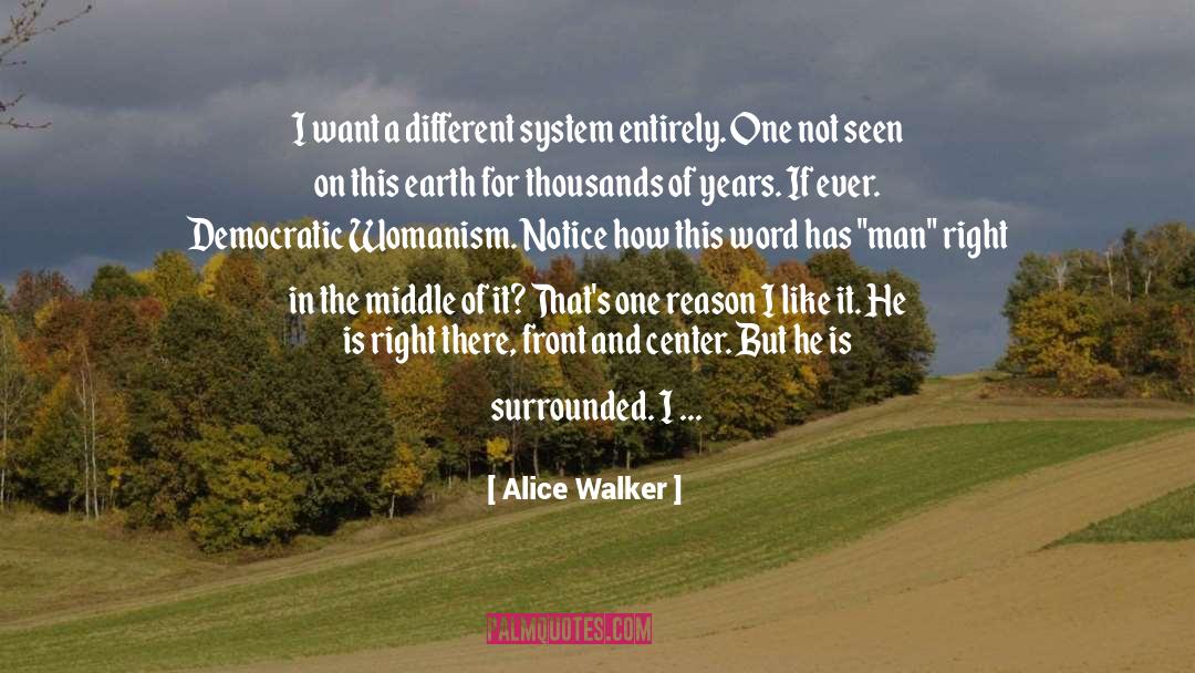 Alice Walker Quotes: I want a different system