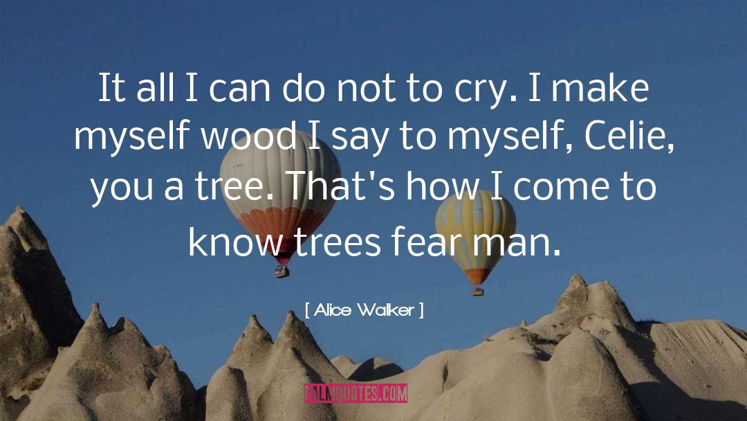 Alice Walker Quotes: It all I can do