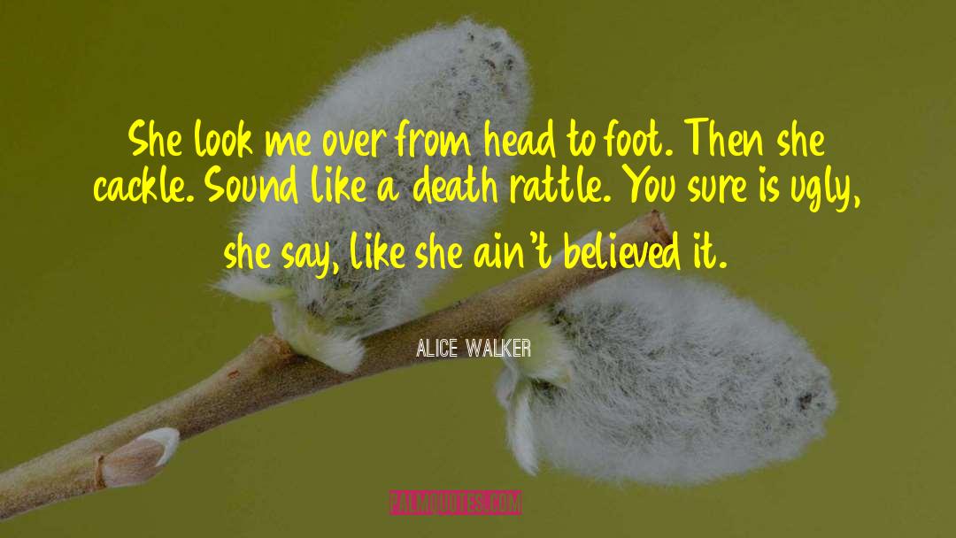 Alice Walker Quotes: She look me over from