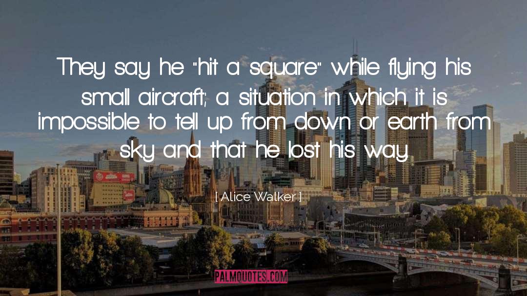 Alice Walker Quotes: They say he 