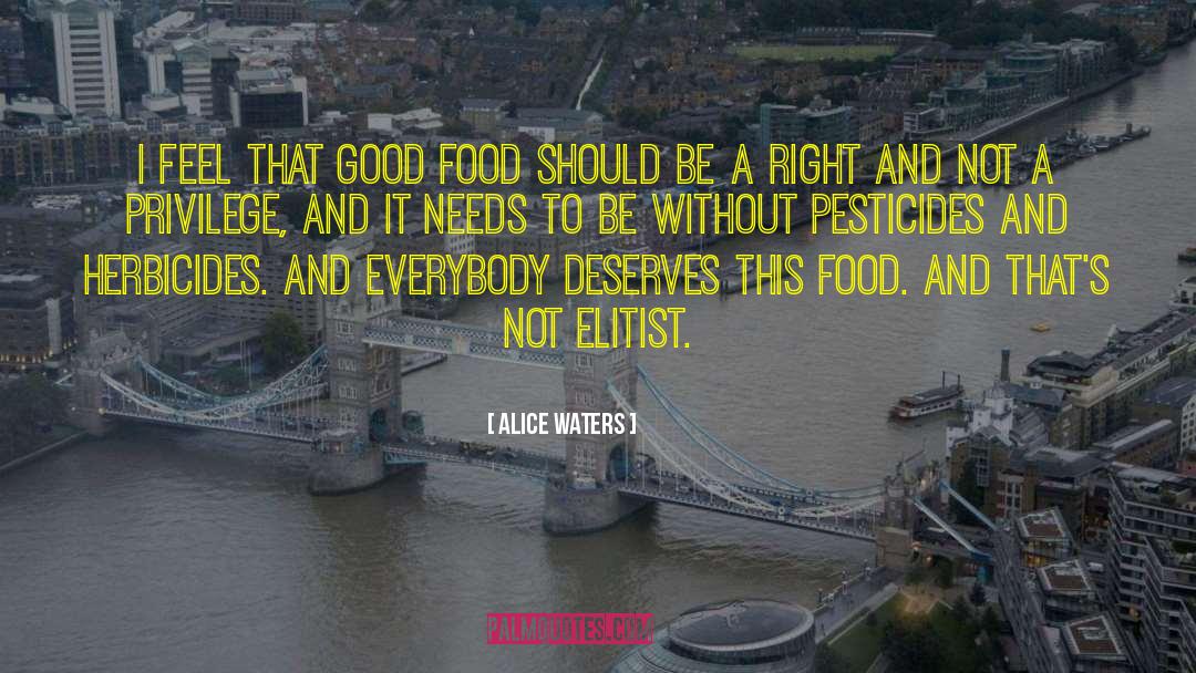 Alice Waters Quotes: I feel that good food