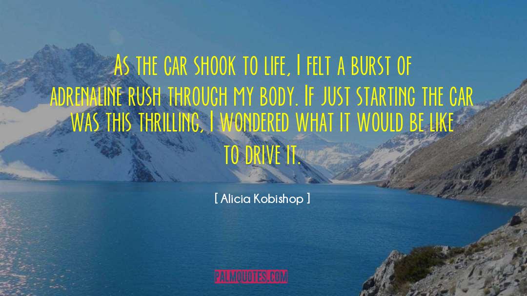 Alicia Kobishop Quotes: As the car shook to