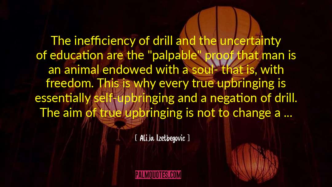 Alija Izetbegovic Quotes: The inefficiency of drill and