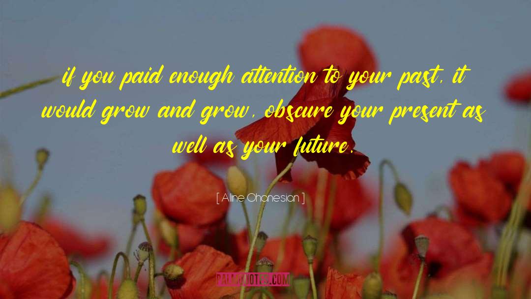 Aline Ohanesian Quotes: if you paid enough attention