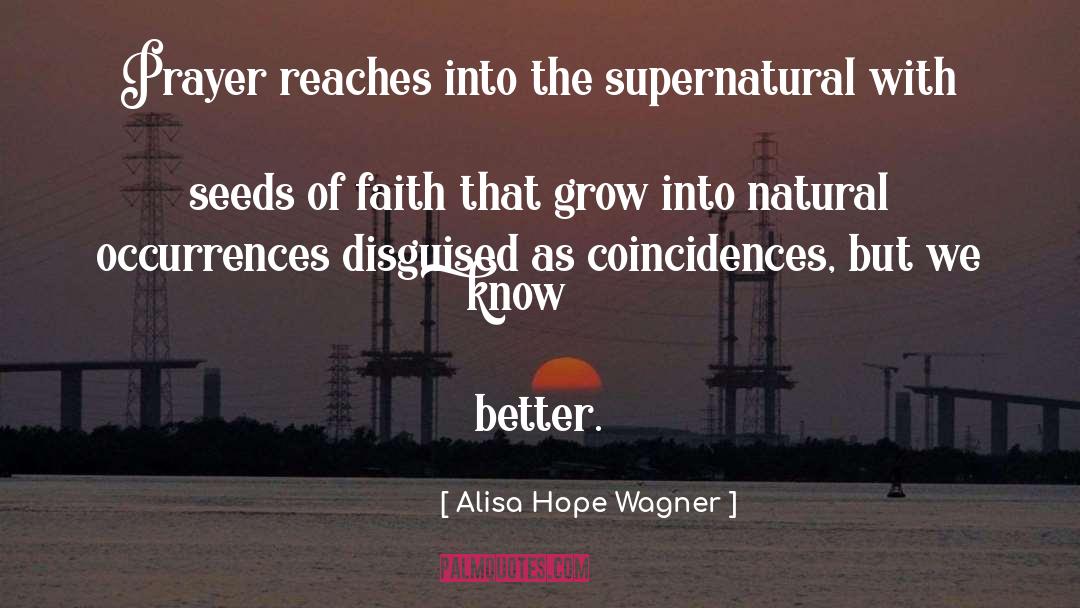 Alisa Hope Wagner Quotes: Prayer reaches into the supernatural