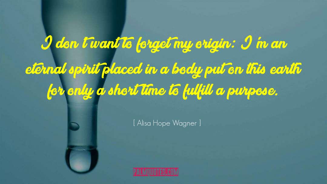 Alisa Hope Wagner Quotes: I don't want to forget