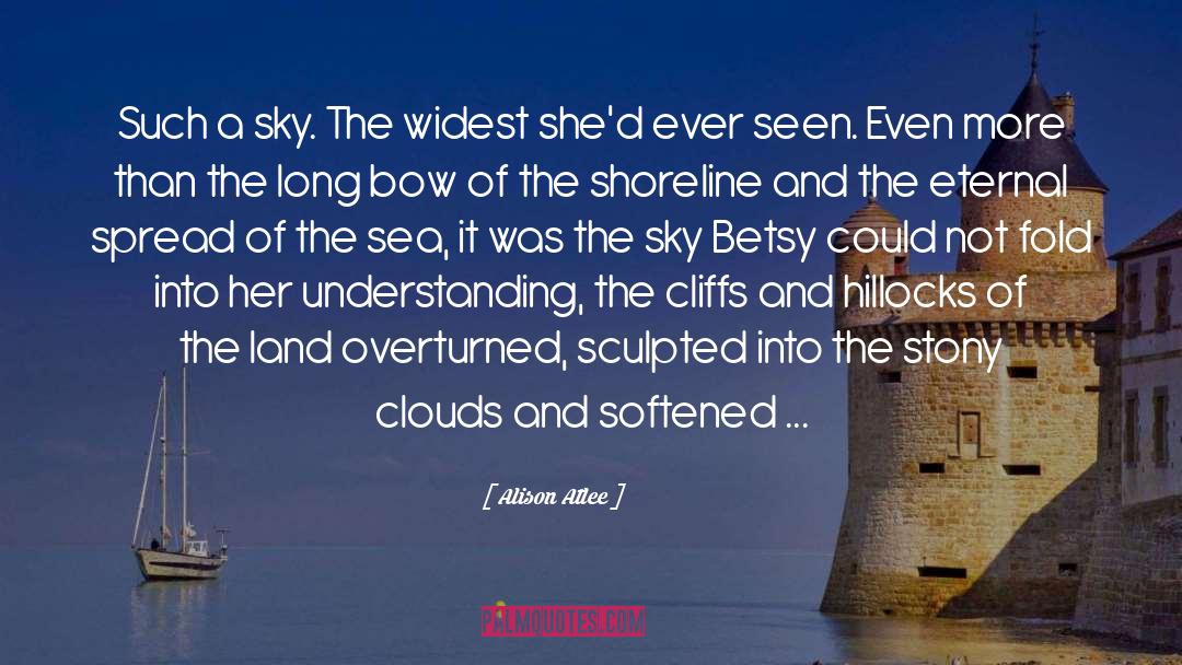 Alison Atlee Quotes: Such a sky. The widest