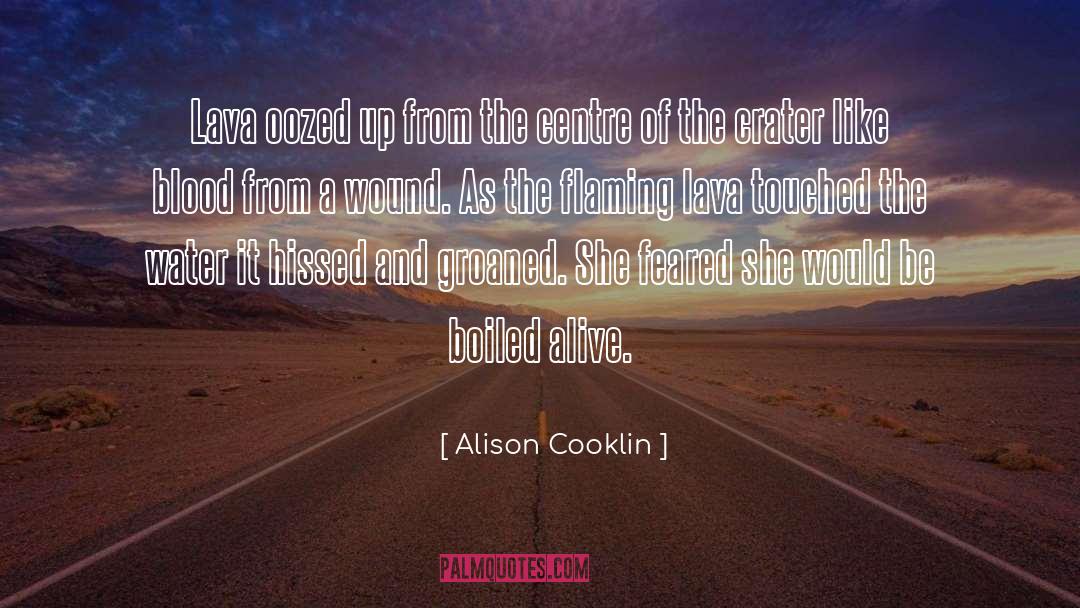 Alison Cooklin Quotes: Lava oozed up from the