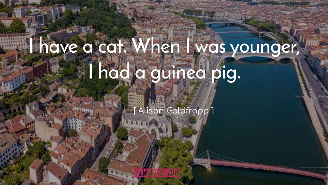 Alison Goldfrapp Quotes: I have a cat. When