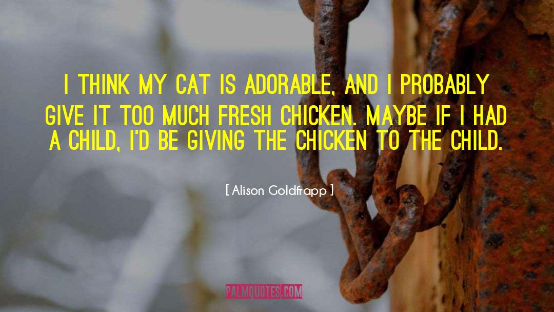 Alison Goldfrapp Quotes: I think my cat is